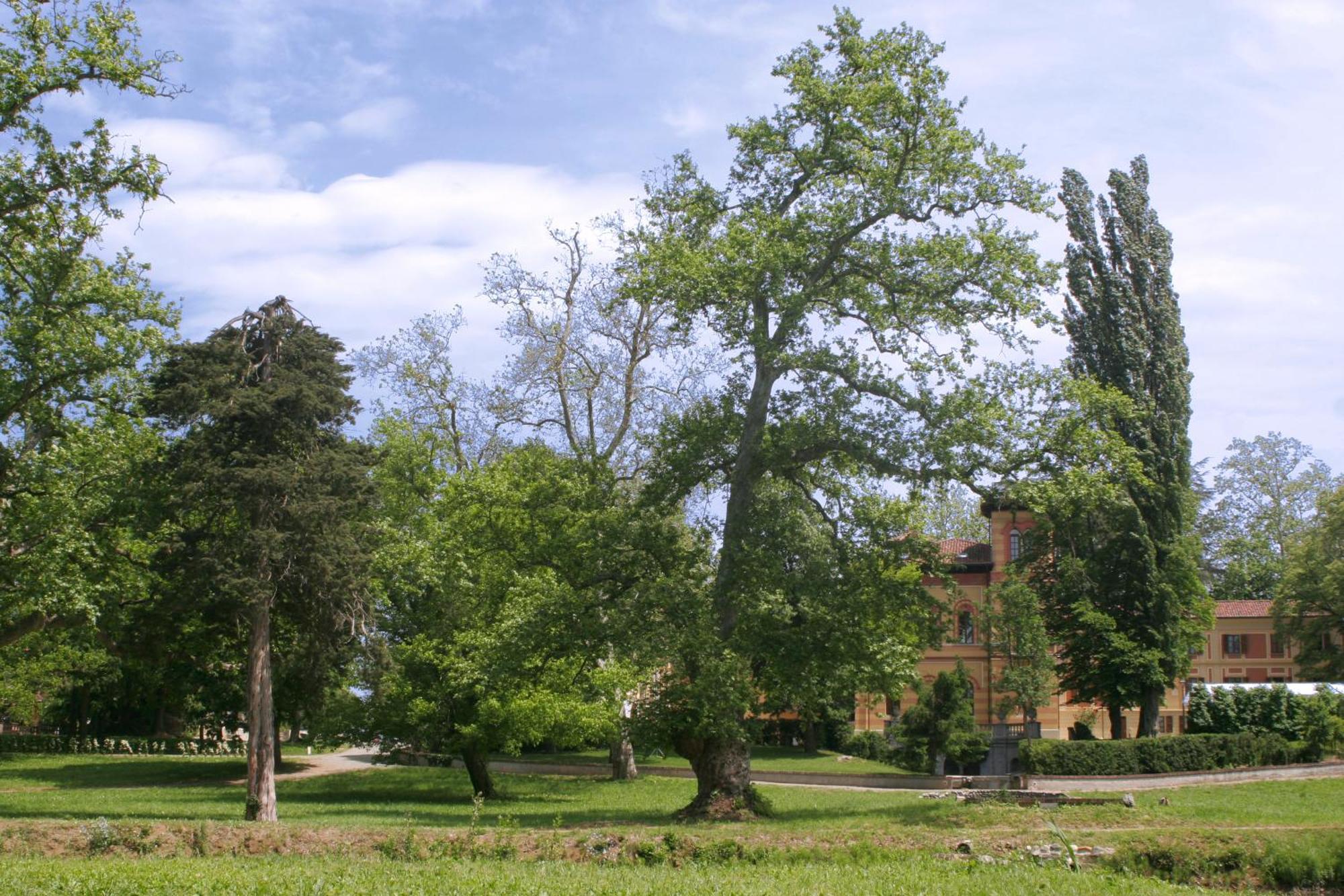 Villa Scati Bed&Breakfast Melazzo Esterno foto
